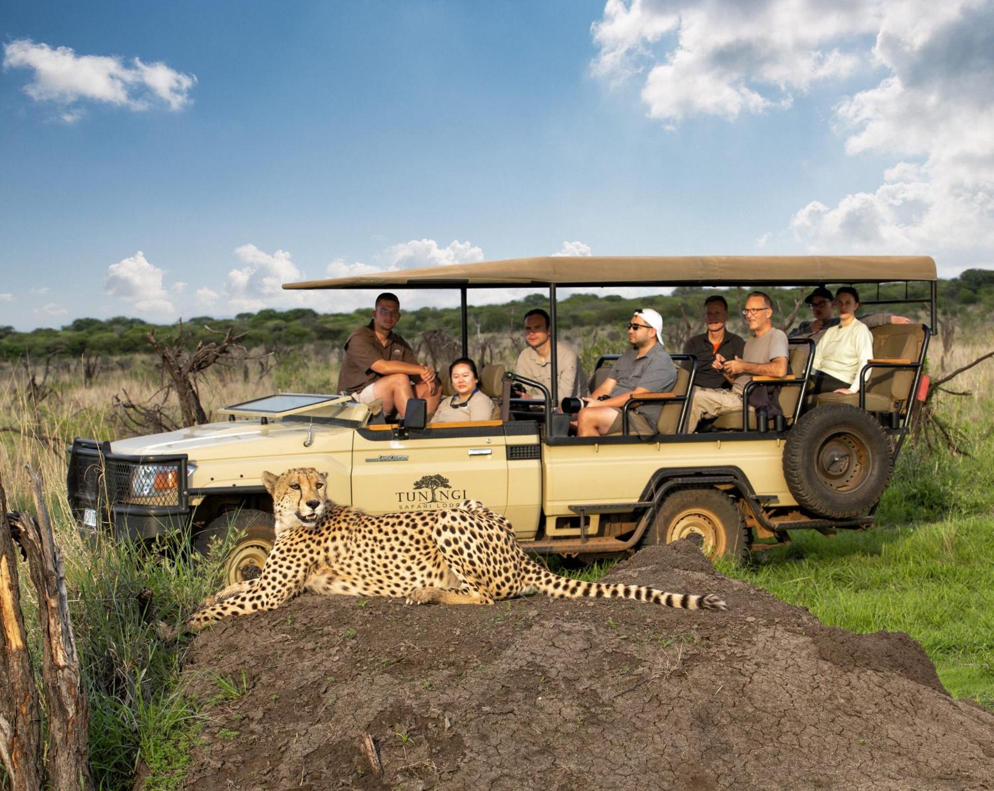 Tuningi Safari Lodge Мадікве-Ґейм-Резерв Екстер'єр фото