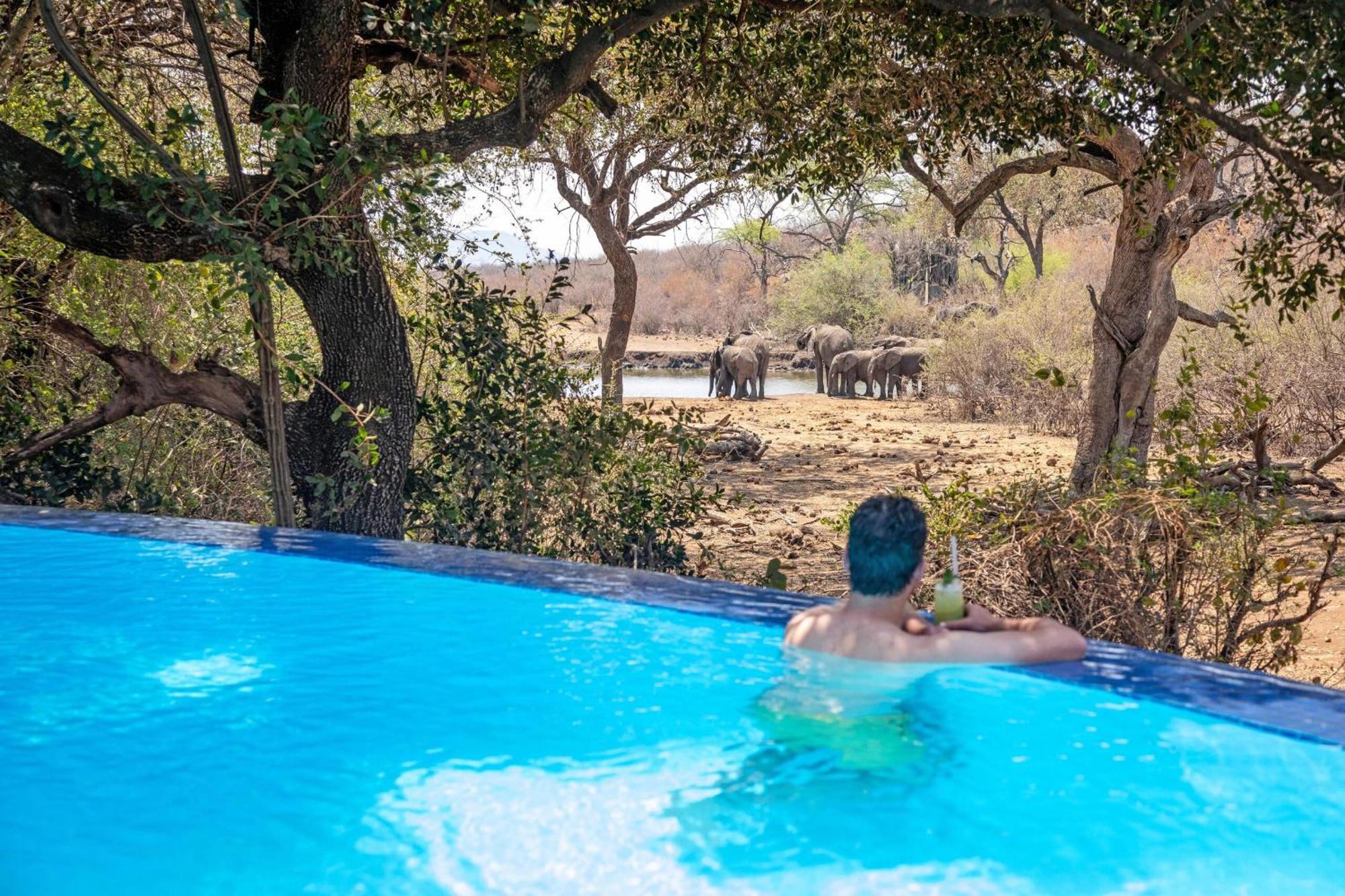 Tuningi Safari Lodge Мадікве-Ґейм-Резерв Екстер'єр фото