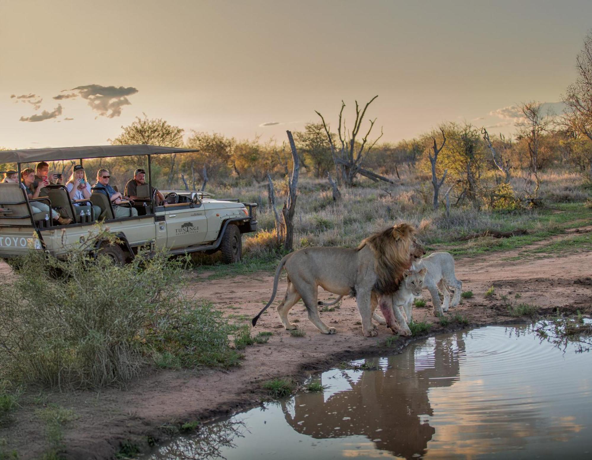 Tuningi Safari Lodge Мадікве-Ґейм-Резерв Екстер'єр фото
