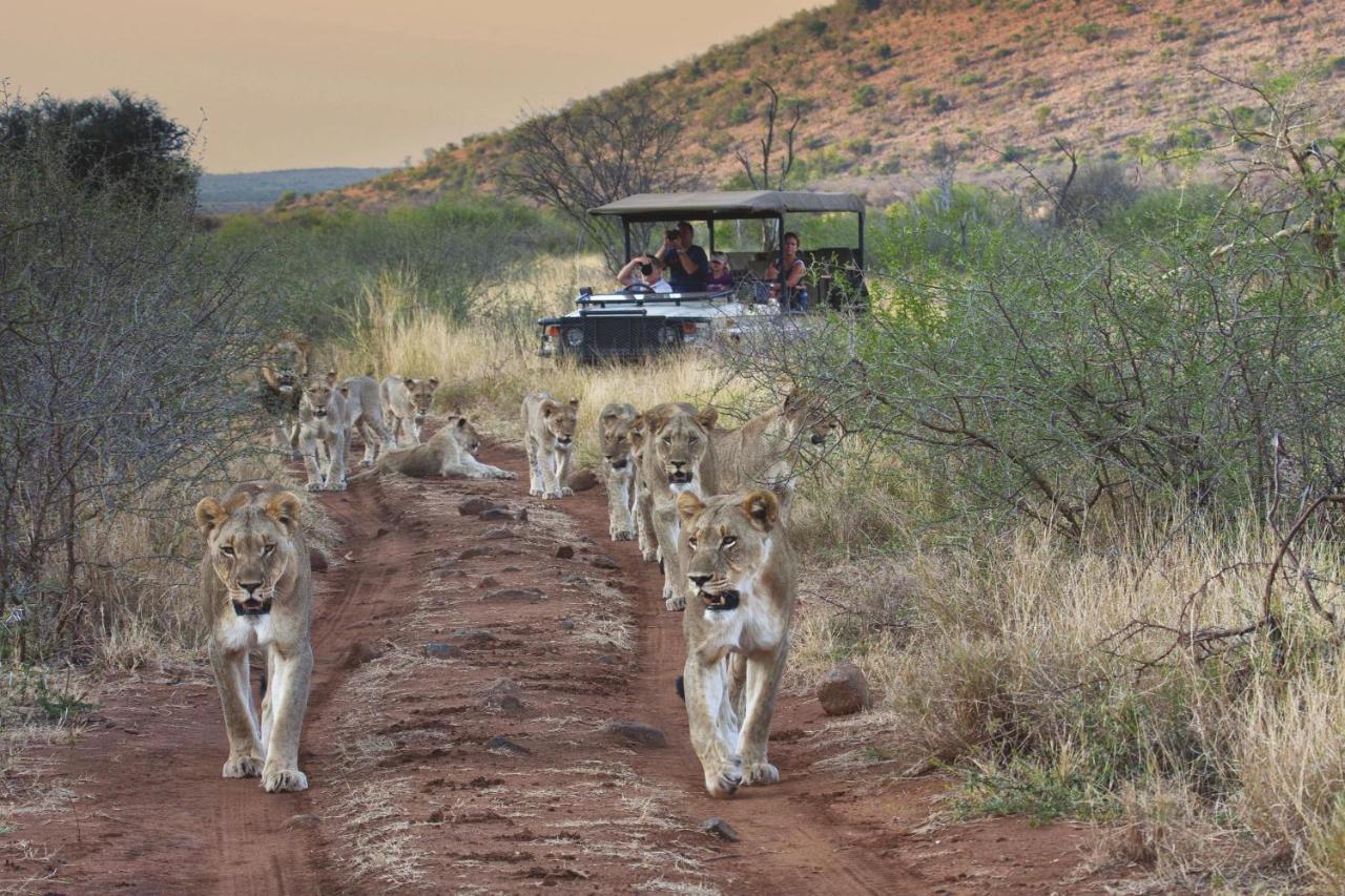 Tuningi Safari Lodge Мадікве-Ґейм-Резерв Екстер'єр фото